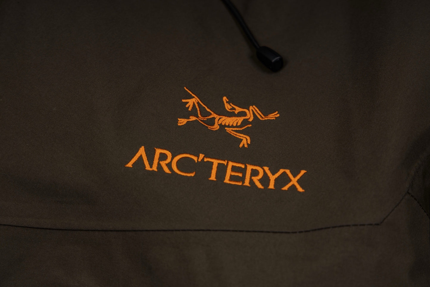 Arc'teryx Alpha SV